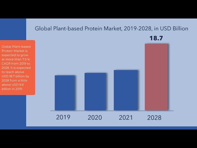 Plant-based Protein Market | Exactitude Consultancy Reports