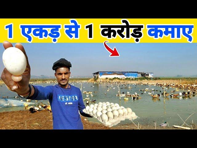 25 साल के लड़के ने एक एकड़ से एक करोड़ कमाए |  Duck farm tour