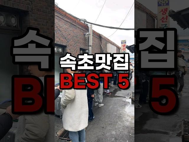 강원도 속초 추천맛집 BEST5! 이걸로 종결 #속초여행