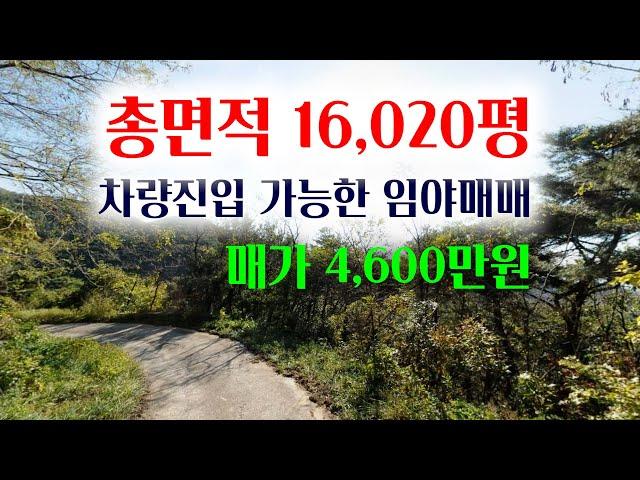 [1275-2][임야매매] 총면적 16,020평, 임도가 접해 차량진입이 가능한 임야, 총매가 4,600만원