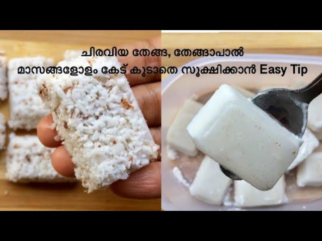 How To Store Coconut & Coconut Milk For Long Malayalam || തേങ്ങ , തേങ്ങാപാൽ കേട് കൂടാതെ സൂക്ഷിക്കാൻ