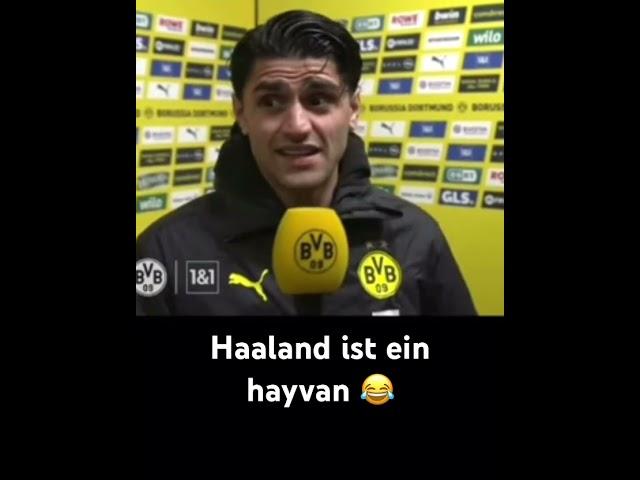 Legendäres Dahoud Interview zu Haaland  #bvb #haaland #meme #bundesliga