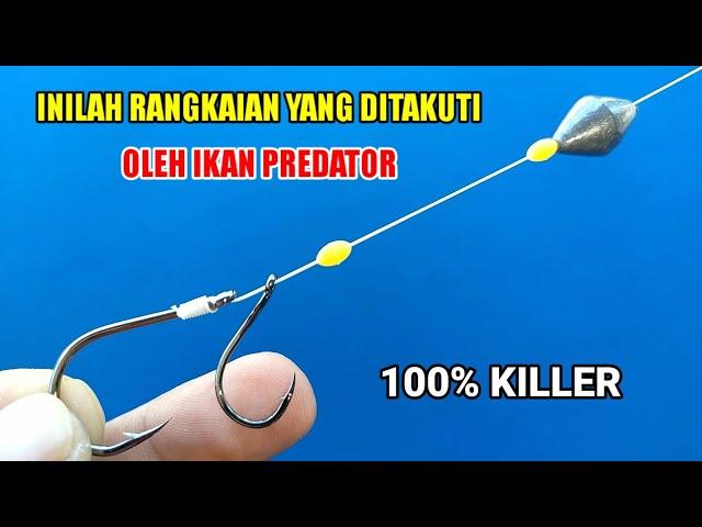 Inilah rangkaian pancing paling Killer untuk ikan Predator