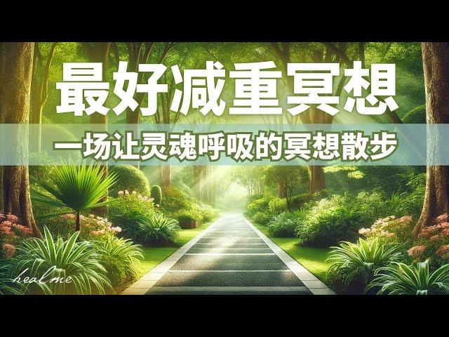 减重与心灵的双重疗愈｜一边散步一边冥想｜步履间的平静，一场让灵魂呼吸的冥想散步｜最有效的减肥冥想｜HealMe冥想