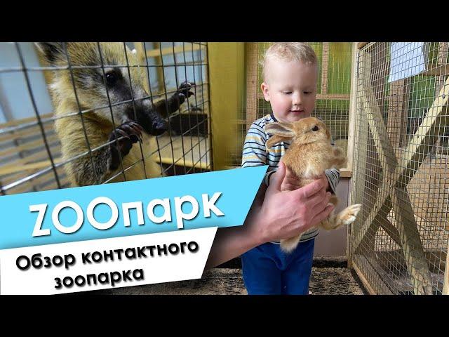 Контактный зоопарк в трц Титан