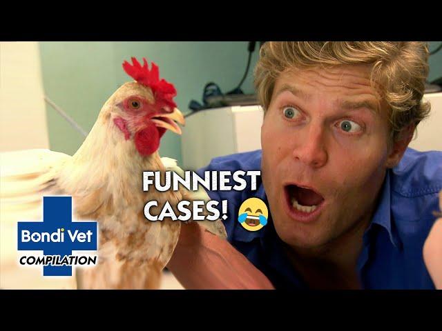 Bondi Vet's Funniest Cases  | Compilation | Bondi Vet