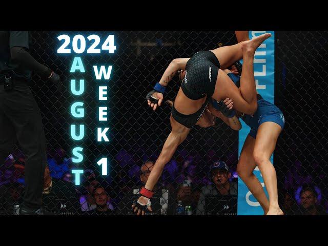 MMA & Boxing Knockouts I August 2024 Week 1