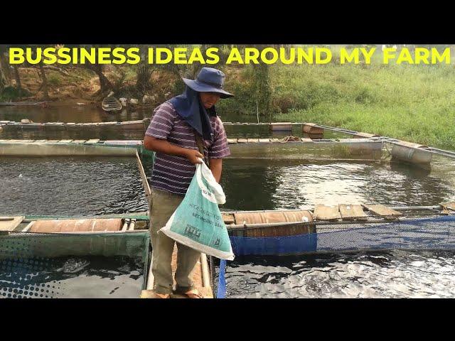 Business ideas around fish farming business at Volta lake Ghana