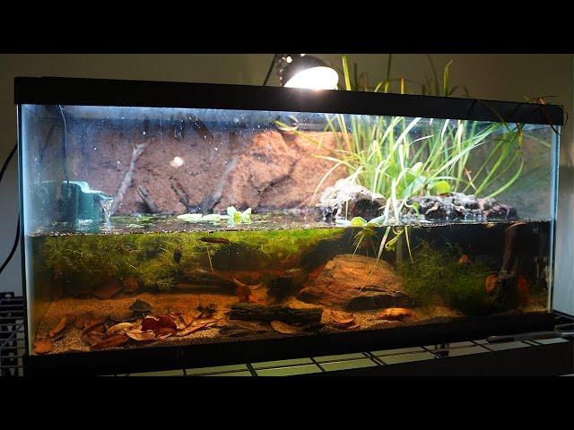 How to build a BEAUTIFUL TURTLE TANK! [Blanding's Turtle Paludarium Build]