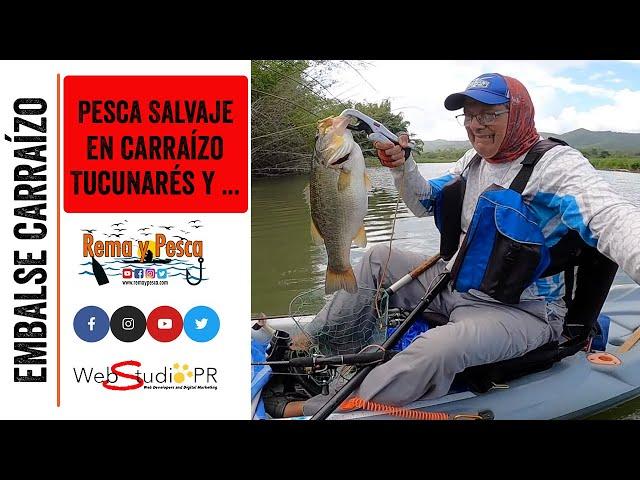 Pesca Salvaje en Carraízo y Tremendas Mega Capturas - Pesca en kayak en Puerto Rico - Rema y Pesca