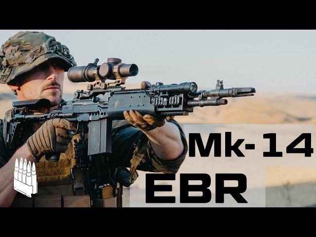 Mk14 Mod 0 EBR, The M-14 when given enough steroids to kill a horse.