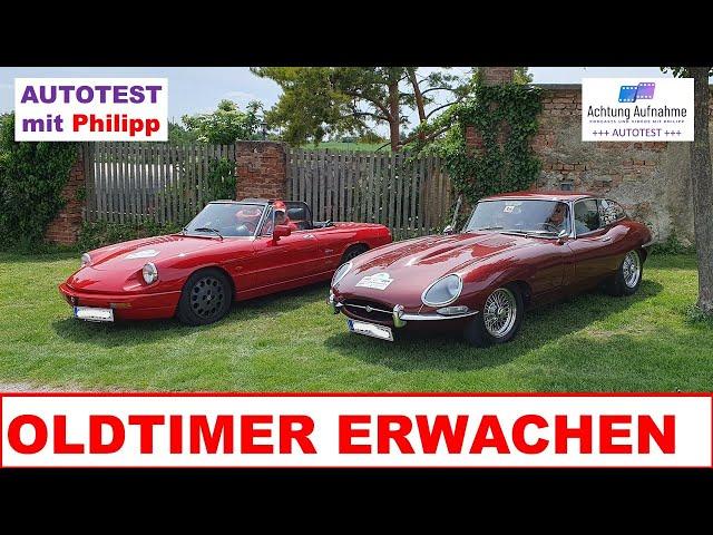 Oldtimer Erwachen beim Freigut Thallern