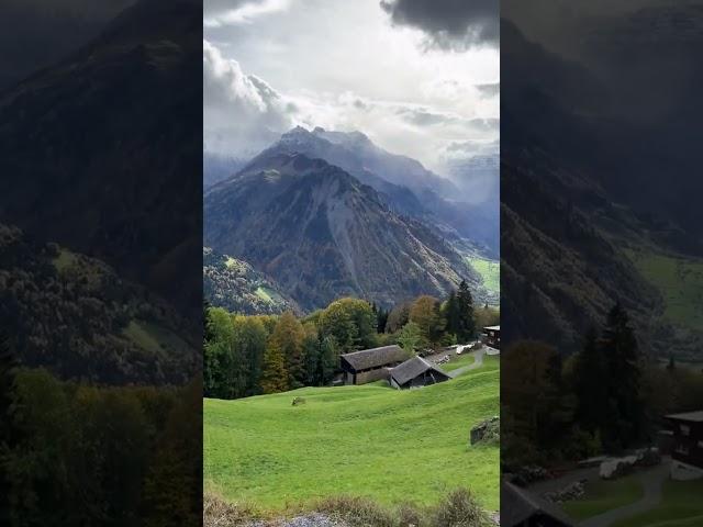 mountain life ️️#viralvideo #mountainlife #beautiful