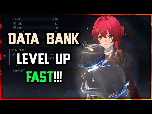 DATA BANK GUIDE FOR FAST LEVEL UP | Wuthering Waves