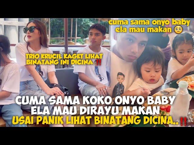 CUMA SAMA KOKO ONYO BABY ELA MAU DIRAYU MAKAN USAI PANIK LIHAT BINATANG DICINA..‼️