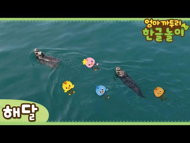 * Sea Otter * | Learn Animals Name in Korean | Katuri | Learn Korean | Learn Animals