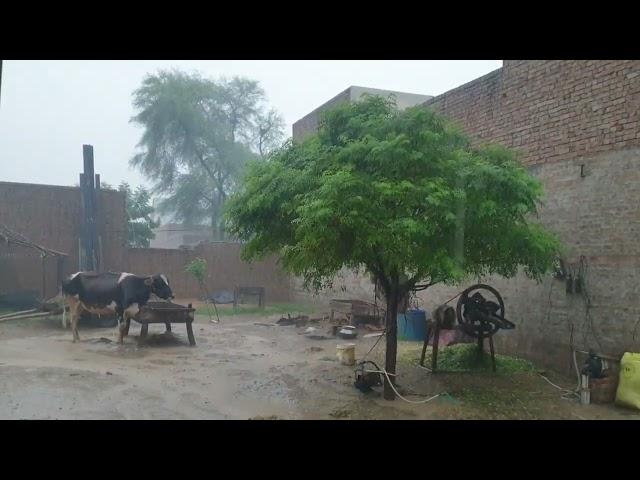 Bariah main Hamra Ghar Dob Gea  | Village Life I Barsaat Mei Yeh Kaam Bhi Karna Padta Hai