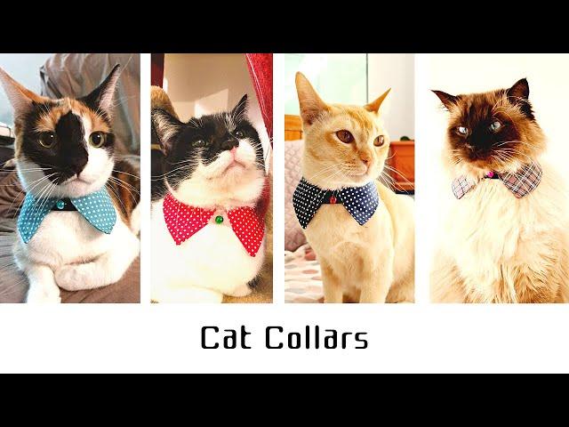 Sewing DIY Cat Collar with pattern; 고양이 목걸이 (카라) 만들기 (패턴포함)