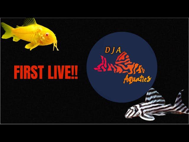 Fishroom Tour / Q&A