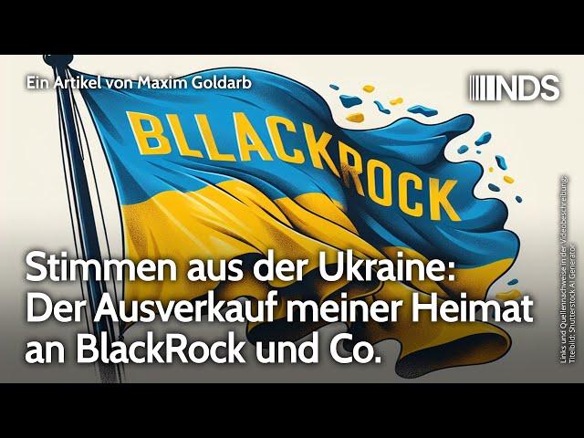 Stimmen aus der Ukraine: Der Ausverkauf meiner Heimat an BlackRock und Co. | Maxim Goldarb | NDS