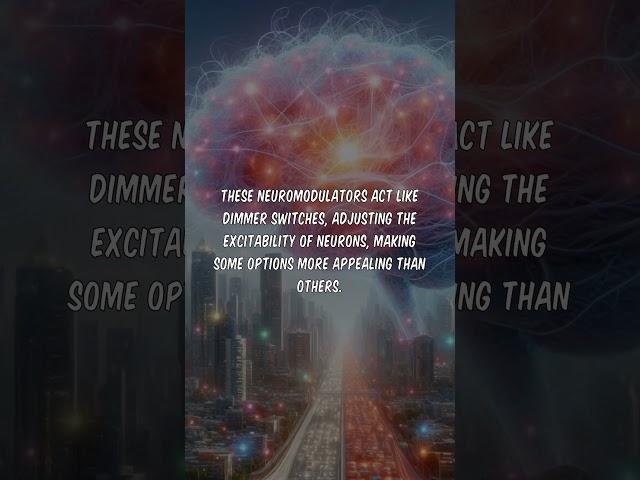 Neuromodulation and Decision Making #brain #science #neuro #neuroscience #biology #facts #sciencefac