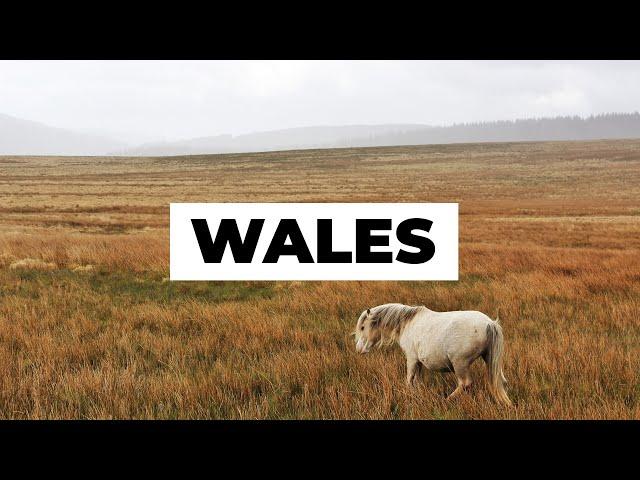 Traveling Wales alone (1)