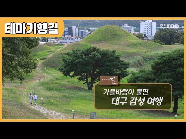 [테마기행 길] 가을바람이 불면 대구 감성 여행