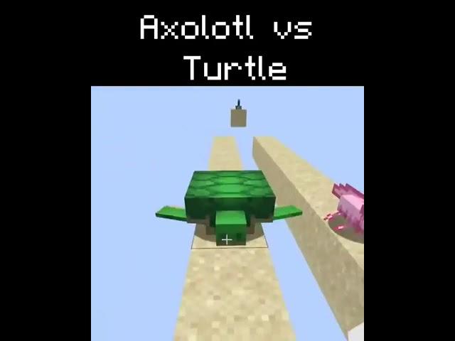 Axolotl VS Turtle