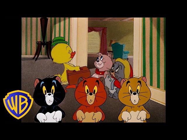 Tom & Jerry | Cutest Little Animals!  | Classic Cartoon Compilation | @wbkids​