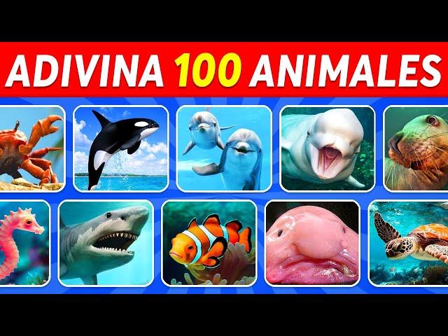 Adivina 100 Animales Marinos en 3 Segundos  | Fácil, Medio, Difícil, Imposible