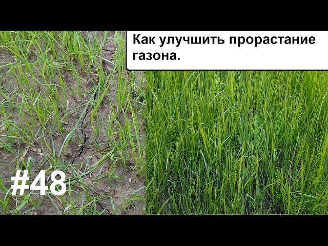 Как улучшить плотность и скорость прорастания газона. Газон своими руками.