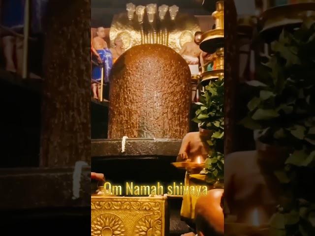 Om Namah shivaya _ Abhishekam _ Stay blessed _ Divine Tales