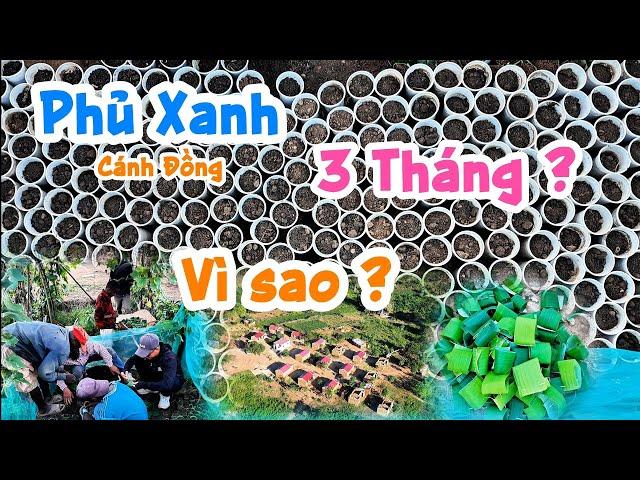 Huy Khánh Vlogs || Cả Bản Chạy Đua Phủ Xanh Cánh Đồng – Vì Sao 3 Tháng Nữa Cực Kỳ Quan Trọng?