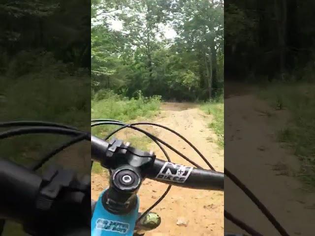 Talladega Trail flowing with some Mountain Bike ASMR from Windrock Bike Park