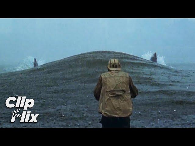 ก็อตซิลล่าออกมาจากทะเล | อสูรพันธุ์นิวเคลียร์ล้างโลก Godzilla | ClipFlix