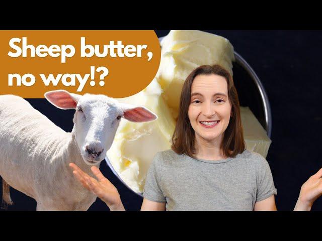 This is What Happens When you Make Sheep Butter