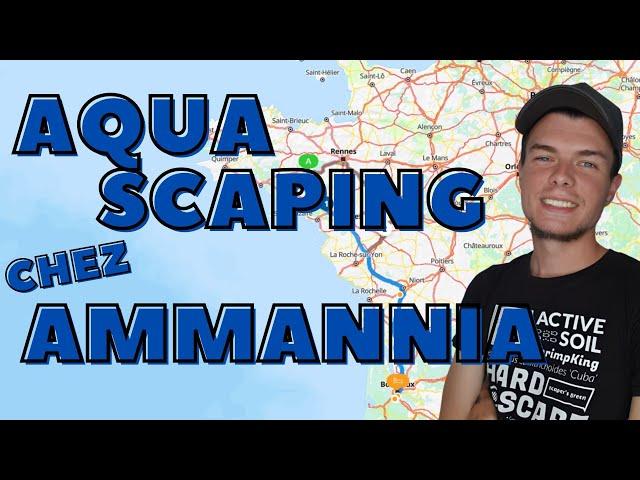 AQUASCAPING :  ROADTRIP CHEZ AMMANNIA