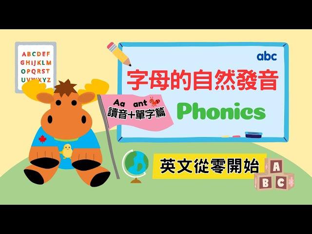 【英文從零開始】字母的自然發音｜Phonics｜Boro English