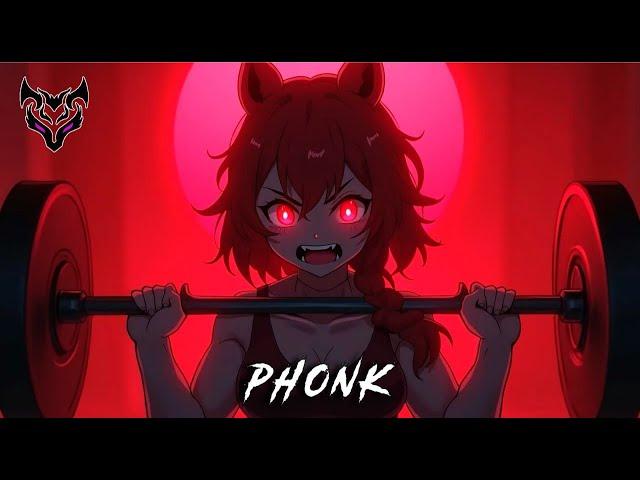 Brazilian DrifT Phonk Music 2024   BEST BRAZILIAN MUSIC PLAYLIST  [ Brazilian MIX ]