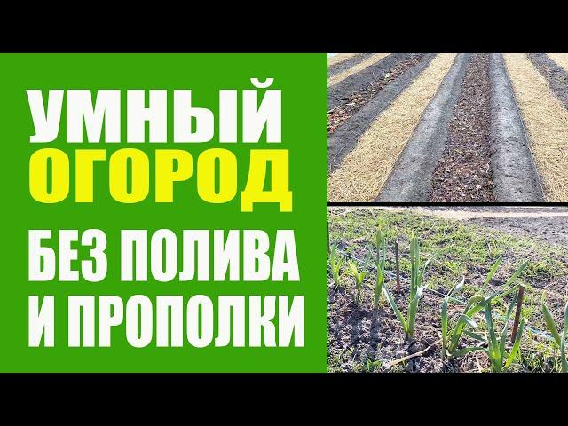 Умный Огород - 1 ч. Не Нужно Поливать И Пропалывать. Урожайный Огород