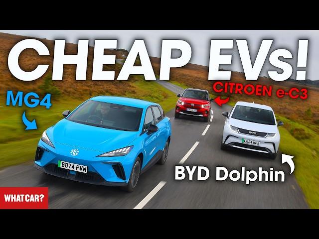 NEW BYD Dolphin vs MG4 vs Citroen e-C3 review – what's the best CHEAP electric car? | What Car?