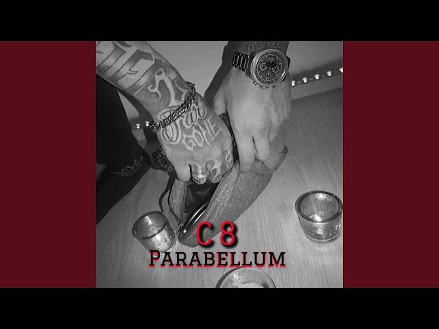 PARABELLUM