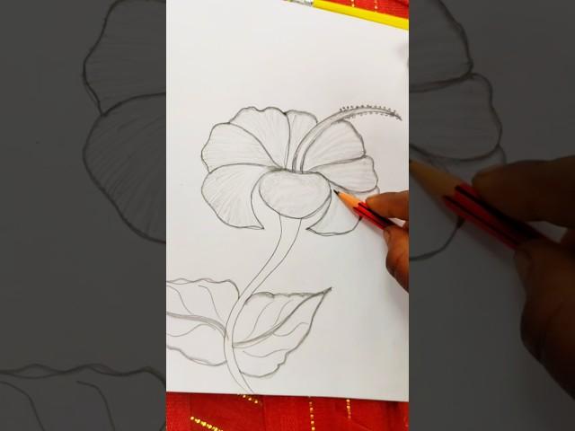  flower drawing #shorts #beautiful #art