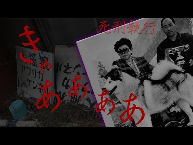 【心霊】死刑となった連続殺人の現場で起きた怪奇現象の映像【アフリカケンネル】