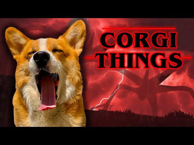 Corgi Battles Vecna's Curse!