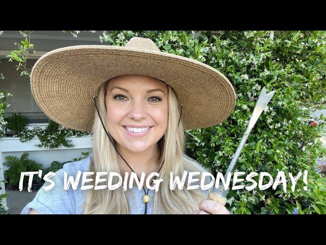 Garden Maintenance: Weeding Wednesday!  :: Garden Maintenance Schedule and Getting Stuff Done! 