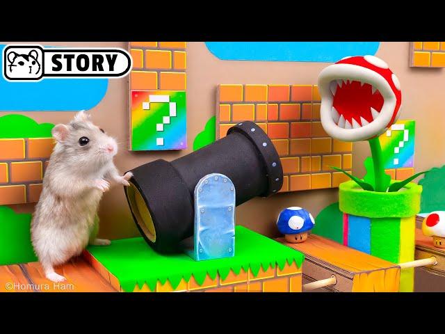  Hamster Escapes the Super Mario Maze 2.0  Homura Ham