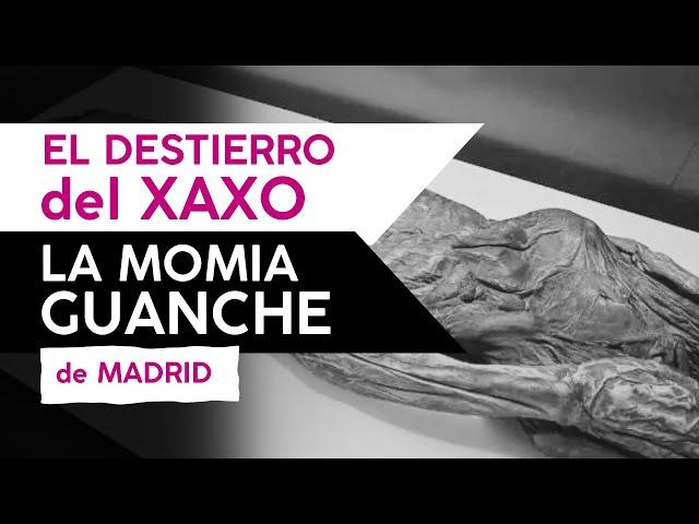 El destierro del XAXO: la MOMIA GUANCHE de Madrid