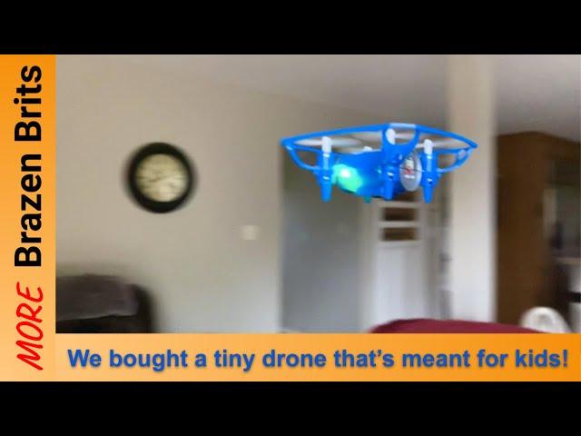 This kids indoor safe drone is so cool! | Dog vs Drone