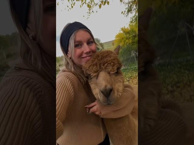 Лучшее лекарство евер️Это я в Баку была, дальше - проводить тур в Шерегеш (10-15.12) Есть 3 места